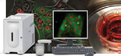 活細胞觀察設備