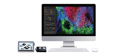 Intravital活體動物用雷射掃描影像系統