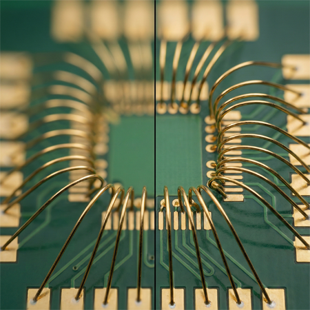 景深太淺怎麼辦？ Nikon VMZ 疊圖功能實戰解析，輕鬆掌握全焦段影像