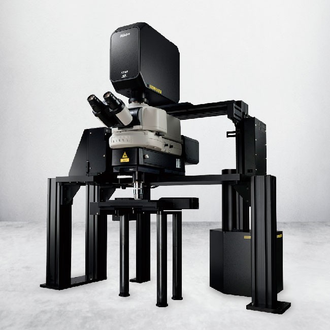Nikon AX R MP 雙光子雷射共軛焦顯微鏡