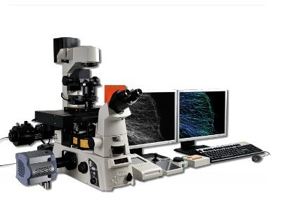 Nikon N - STORM 超解析顯微鏡 - 【超高解析顯微鏡】